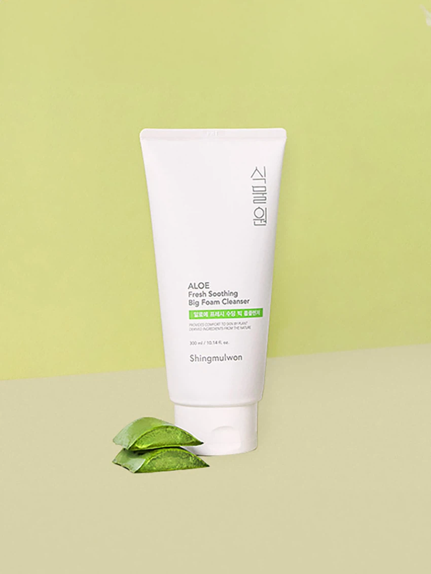 Botanical Garden Aloe Fresh Soothing Big Foam Cleanser