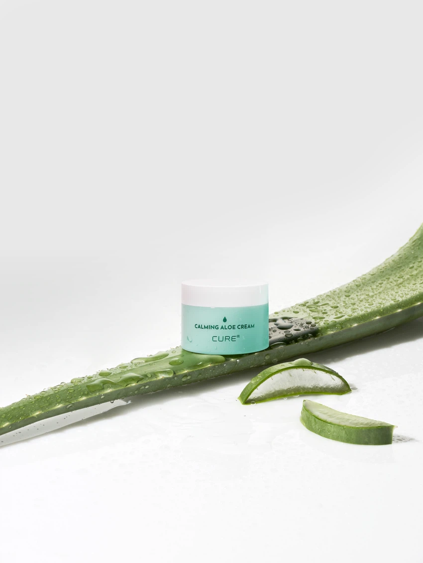 KIM JEONG MOON Aloe Cure Alpha Calming Aloe Cream 50 g image 2